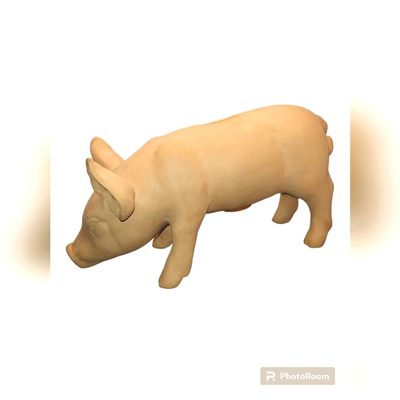 Piggy Bank - Picture 1 of 14